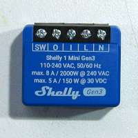 shelly